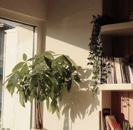 How to Create a Cozy Reading Corner at Home