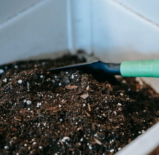 Beginner Tips for Composting at Home: Easy Steps to Get Started